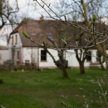 Goldhammer Neuburg  Eksteriør billede